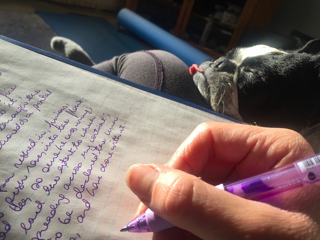 Dog snoozes while owner writes in notebook.