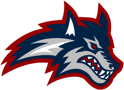 Stony Brook Athletics logo