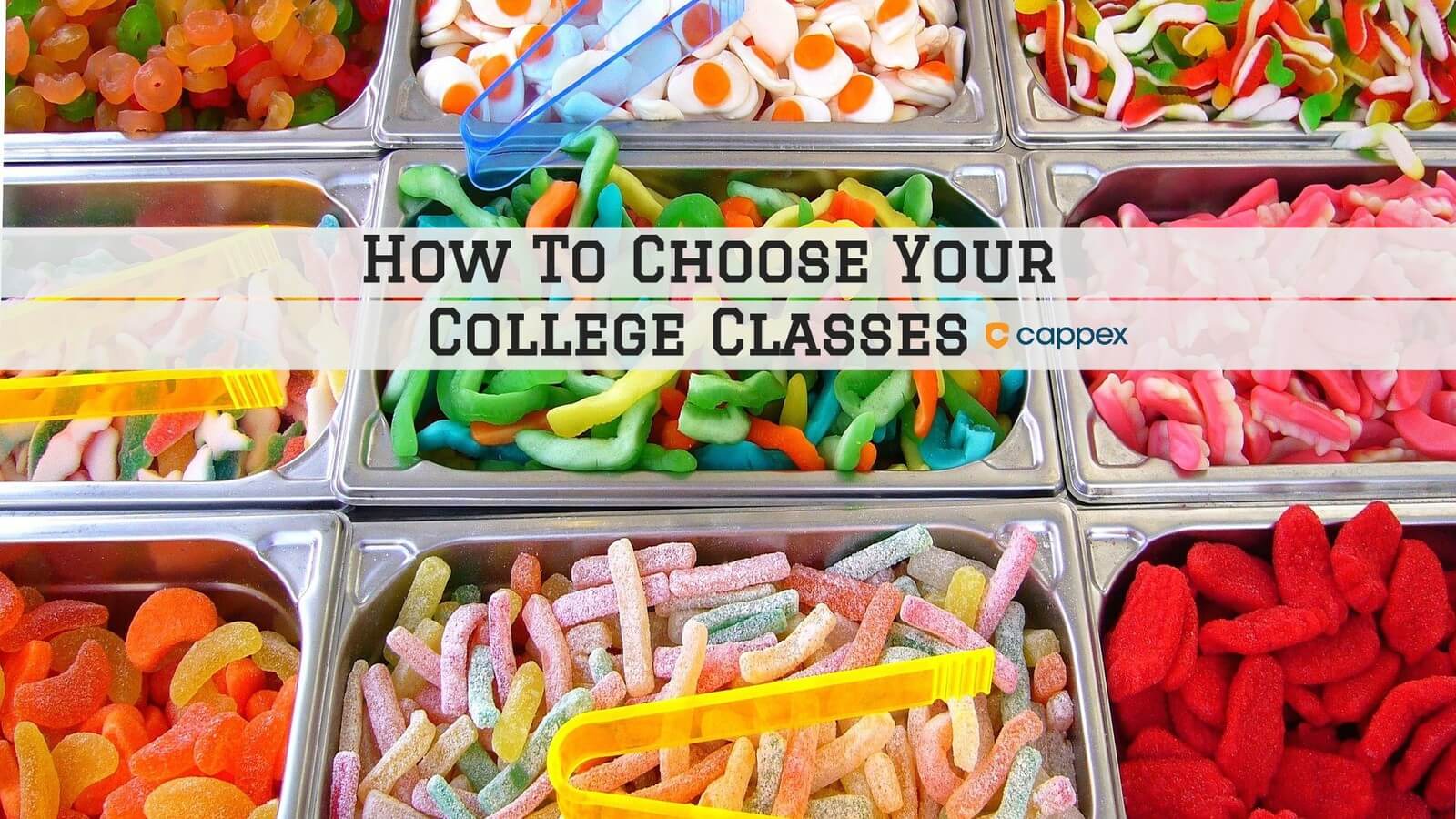 How to Choose Your College Classes 