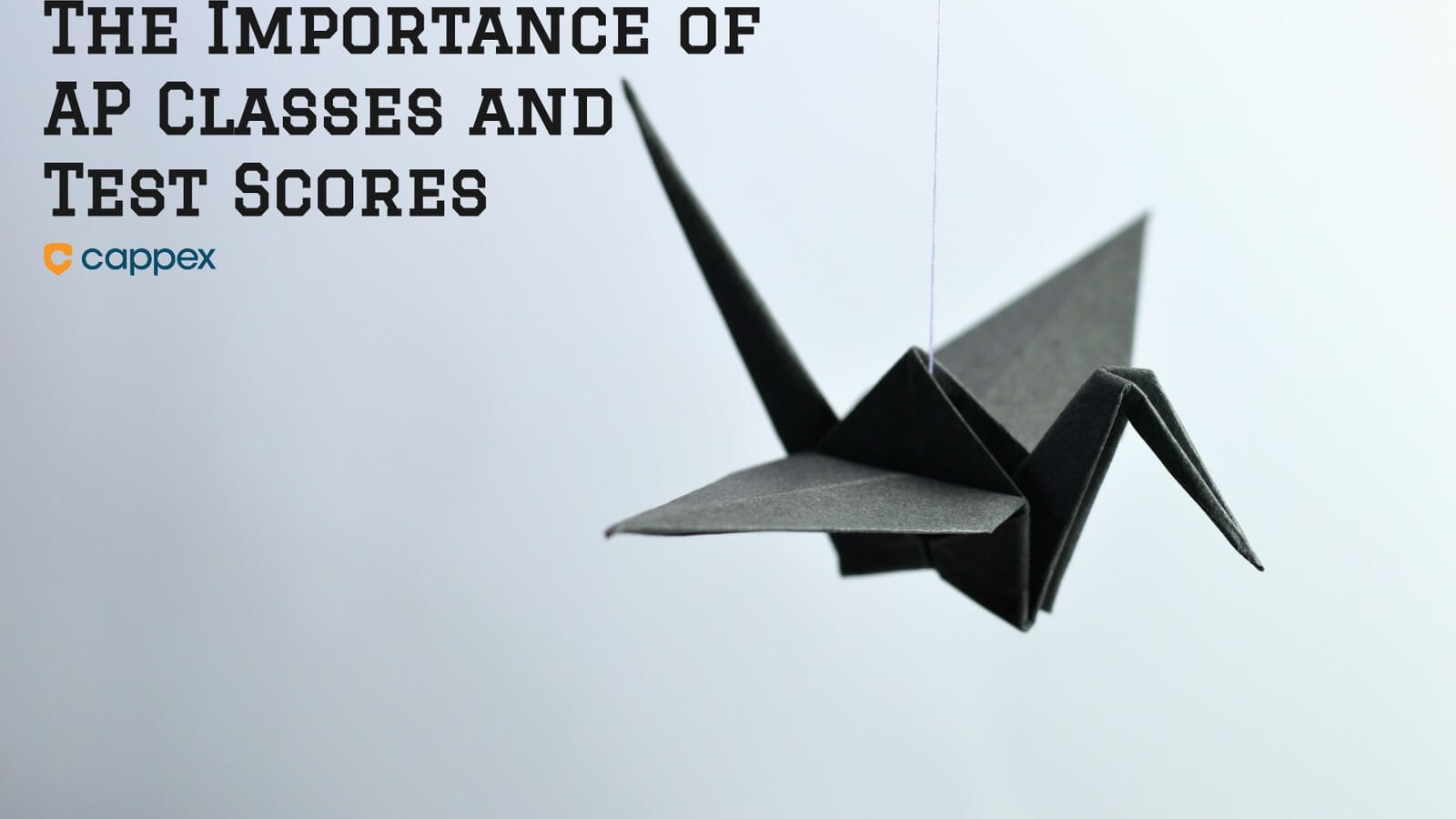 a paper swan with the graphic text of title: The Importance of AP Classes and Test Scores