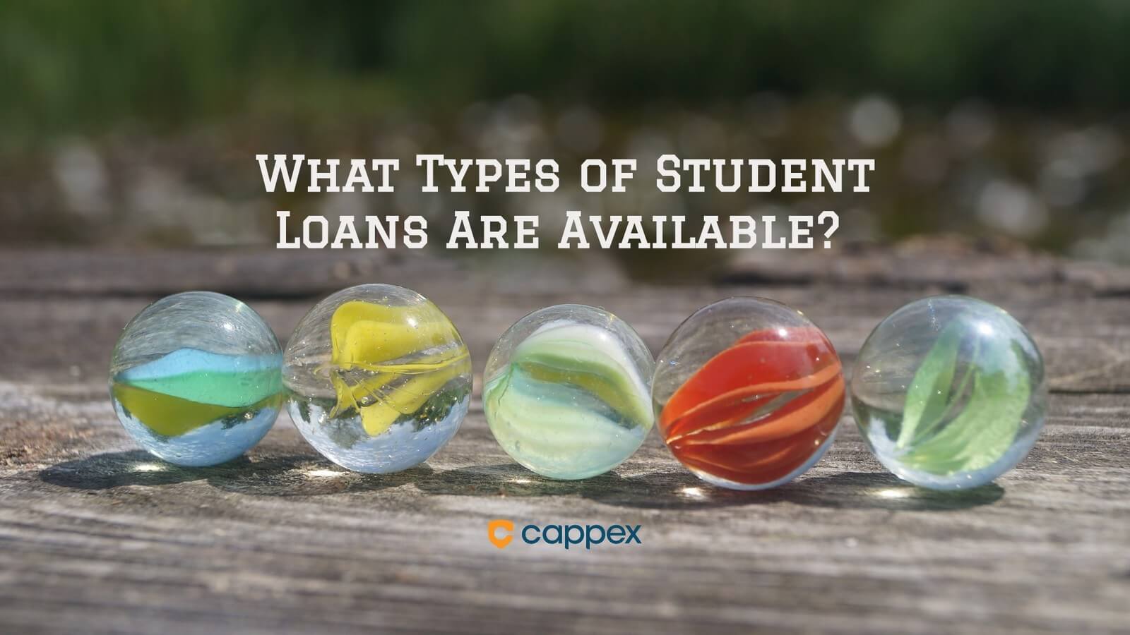 What Types of Student Loans Are Available?