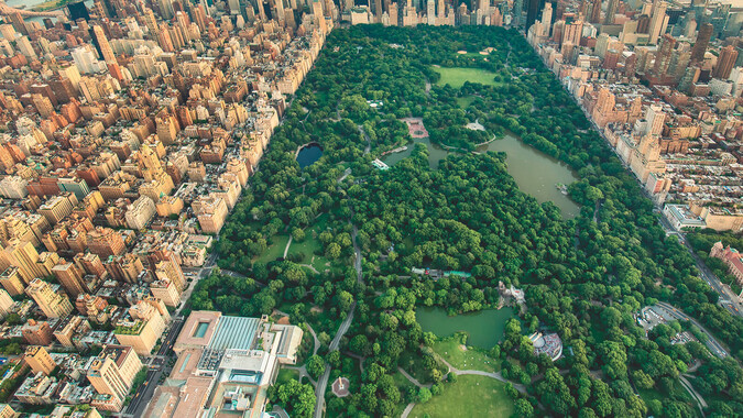 American Musical and Dramatic Academy