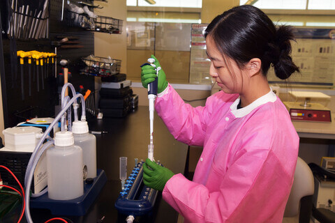 University Partnership Program (UPP)