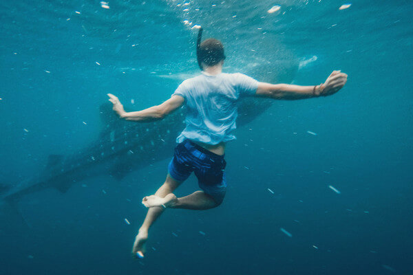 a man swimming in the ocean
