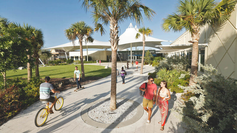 A view of a bustling campus at Eckerd College. 