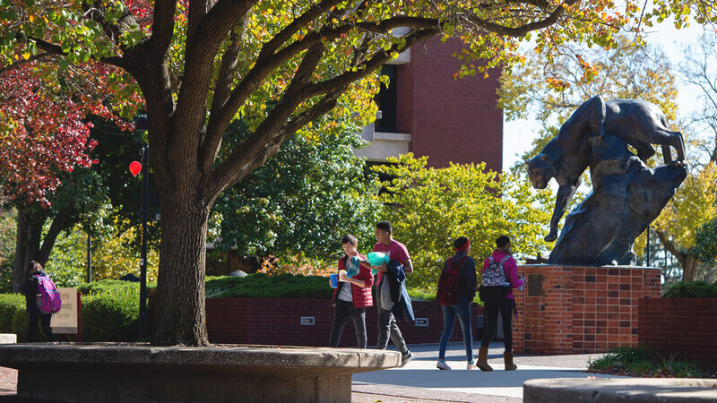 Southern Illinois University-Edwardsville