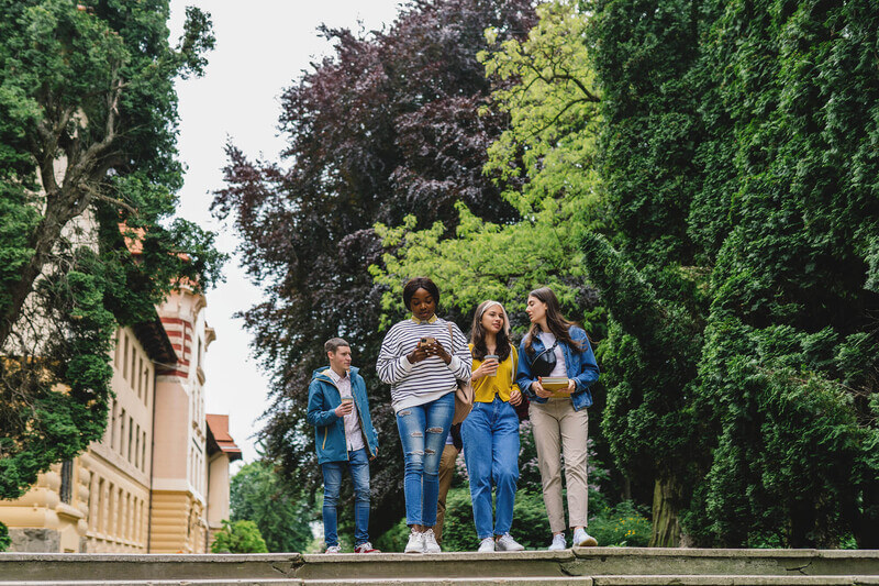 Transfer students walk across a college campus