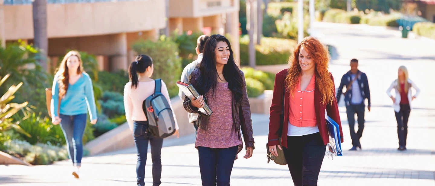 Students studying